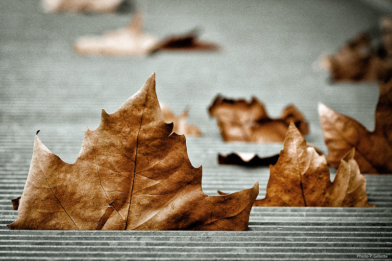 Őszi szünet – Mivel töltsük?