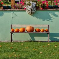 22365305352_b16496391c_c