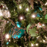 11286355316_f63a9bafe1_c