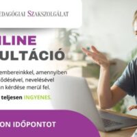 online_konzultacio_cikk